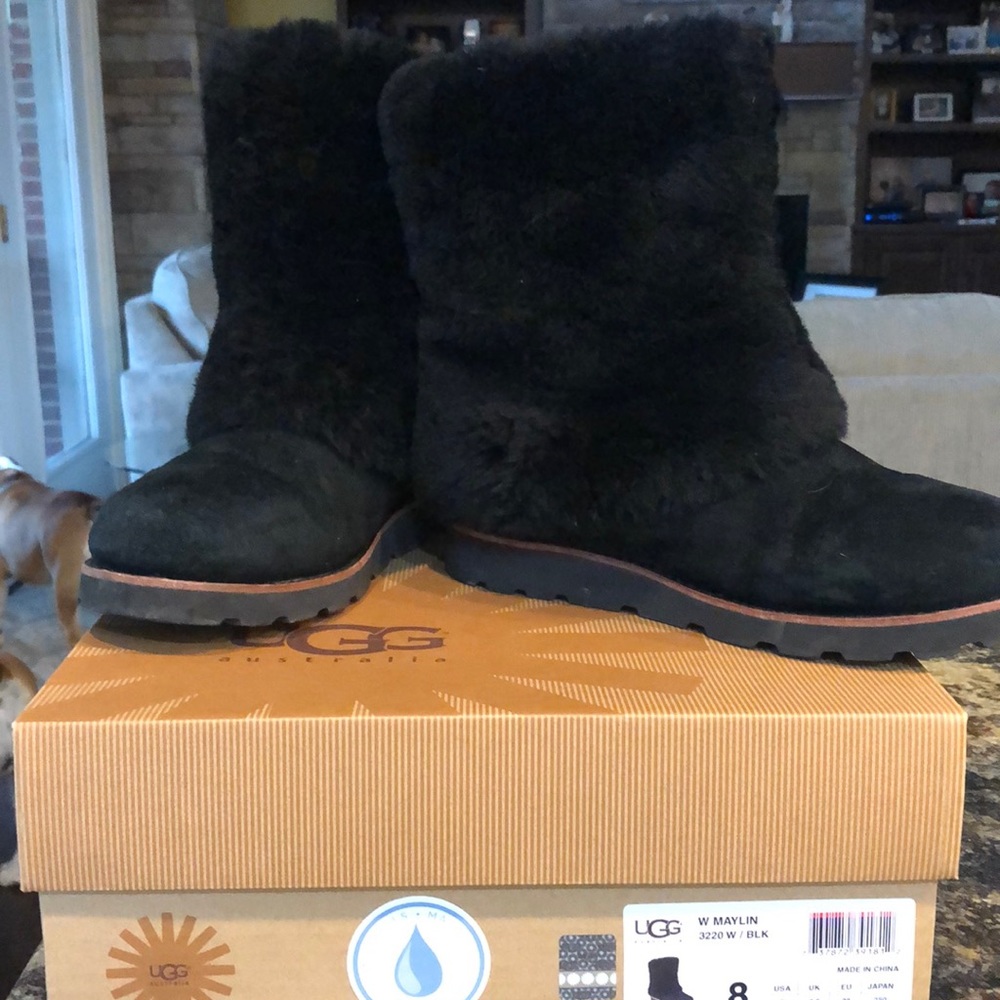 Uggs
